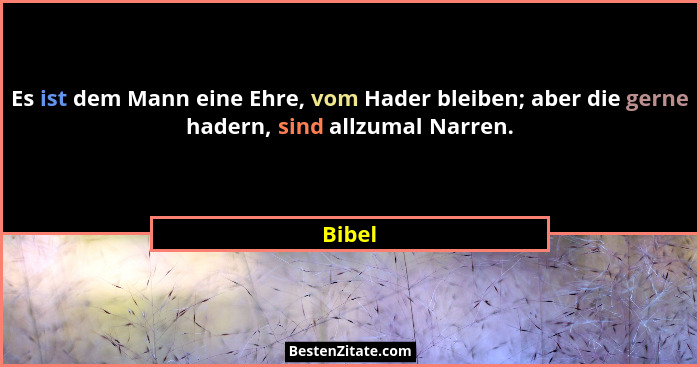 Es ist dem Mann eine Ehre, vom Hader bleiben; aber die gerne hadern, sind allzumal Narren.... - Bibel