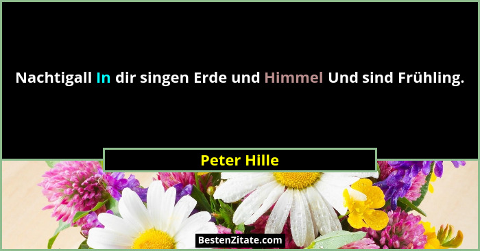 Nachtigall In dir singen Erde und Himmel Und sind Frühling.... - Peter Hille