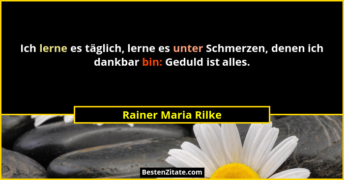 Ich lerne es täglich, lerne es unter Schmerzen, denen ich dankbar bin: Geduld ist alles.... - Rainer Maria Rilke
