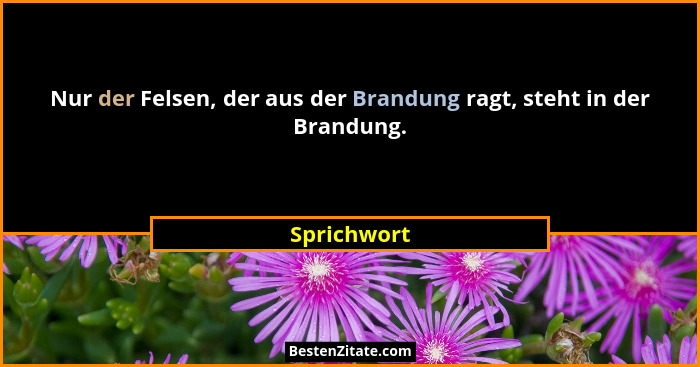 Nur der Felsen, der aus der Brandung ragt, steht in der Brandung.... - Sprichwort