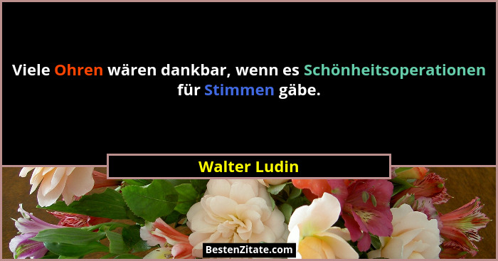 Viele Ohren wären dankbar, wenn es Schönheitsoperationen für Stimmen gäbe.... - Walter Ludin