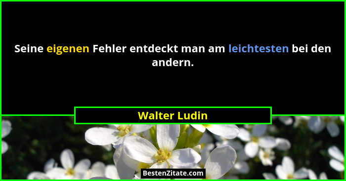 Seine eigenen Fehler entdeckt man am leichtesten bei den andern.... - Walter Ludin