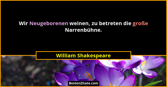 Wir Neugeborenen weinen, zu betreten die große Narrenbühne.... - William Shakespeare