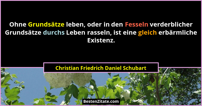Ohne Grundsätze leben, oder in den Fesseln verderblicher Grundsätze durchs Leben rasseln, ist eine gleich erbärm... - Christian Friedrich Daniel Schubart