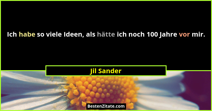 Ich habe so viele Ideen, als hätte ich noch 100 Jahre vor mir.... - Jil Sander