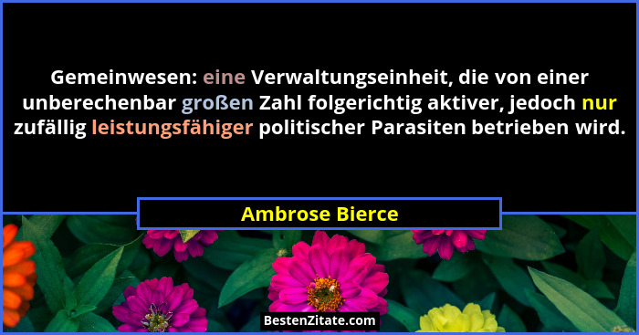 Gemeinwesen: eine Verwaltungseinheit, die von einer unberechenbar großen Zahl folgerichtig aktiver, jedoch nur zufällig leistungsfähi... - Ambrose Bierce