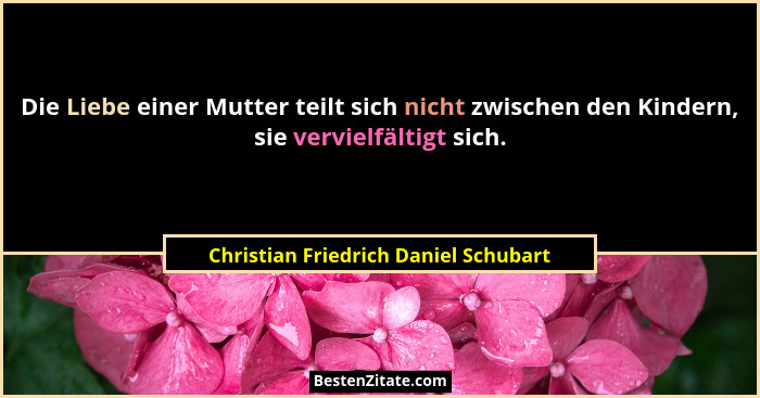 Die Liebe einer Mutter teilt sich nicht zwischen den Kindern, sie vervielfältigt sich.... - Christian Friedrich Daniel Schubart