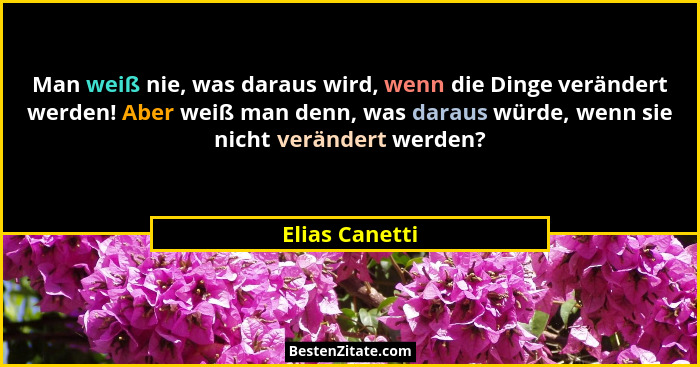 Man weiß nie, was daraus wird, wenn die Dinge verändert werden! Aber weiß man denn, was daraus würde, wenn sie nicht verändert werden?... - Elias Canetti