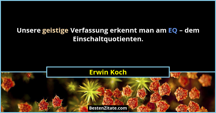 Unsere geistige Verfassung erkennt man am EQ – dem Einschaltquotienten.... - Erwin Koch