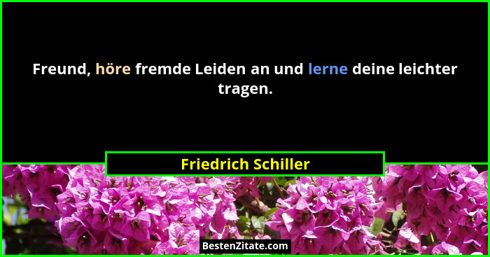 Freund, höre fremde Leiden an und lerne deine leichter tragen.... - Friedrich Schiller
