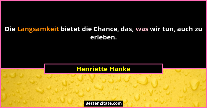 Die Langsamkeit bietet die Chance, das, was wir tun, auch zu erleben.... - Henriette Hanke