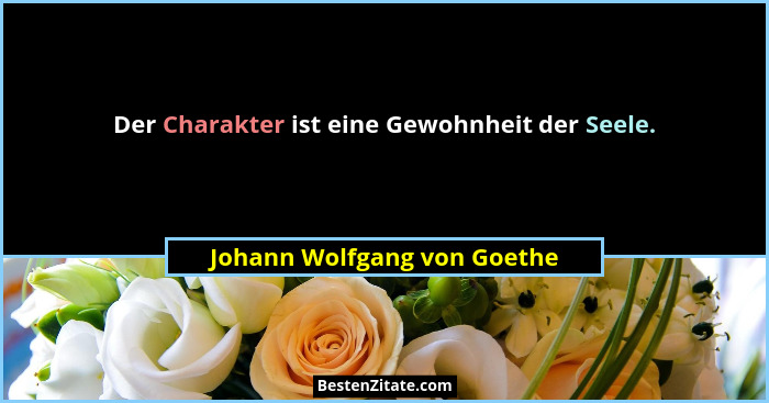 Der Charakter ist eine Gewohnheit der Seele.... - Johann Wolfgang von Goethe