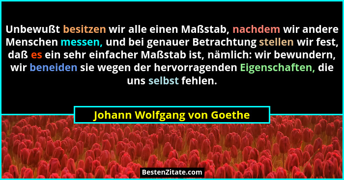 Unbewußt besitzen wir alle einen Maßstab, nachdem wir andere Menschen messen, und bei genauer Betrachtung stellen wir fes... - Johann Wolfgang von Goethe