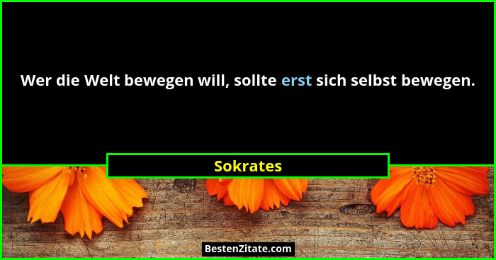 Wer die Welt bewegen will, sollte erst sich selbst bewegen.... - Sokrates