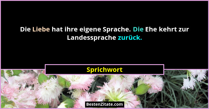 Die Liebe hat ihre eigene Sprache. Die Ehe kehrt zur Landessprache zurück.... - Sprichwort