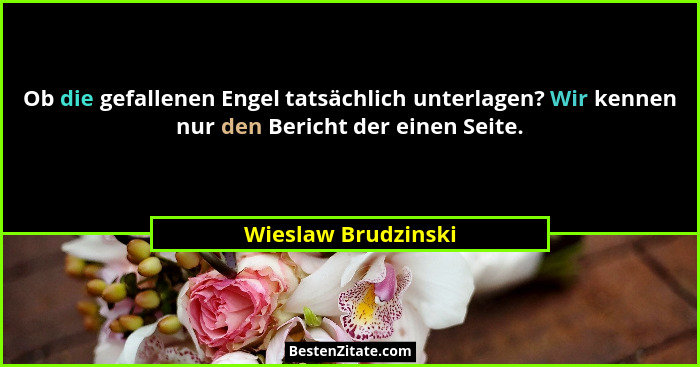 Ob die gefallenen Engel tatsächlich unterlagen? Wir kennen nur den Bericht der einen Seite.... - Wieslaw Brudzinski