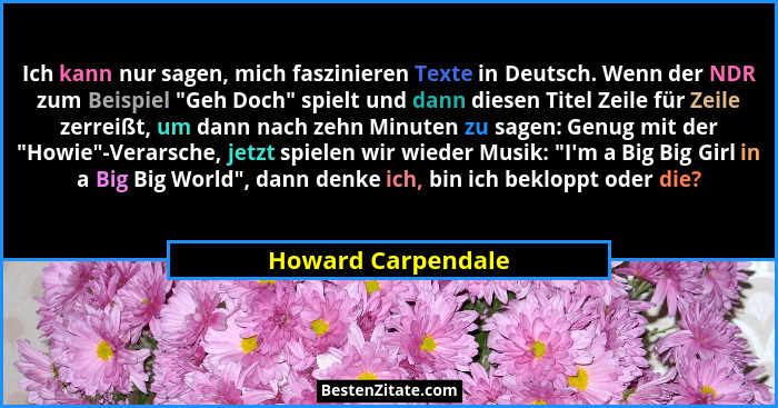 Ich kann nur sagen, mich faszinieren Texte in Deutsch. Wenn der NDR zum Beispiel "Geh Doch" spielt und dann diesen Titel Z... - Howard Carpendale