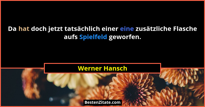 Da hat doch jetzt tatsächlich einer eine zusätzliche Flasche aufs Spielfeld geworfen.... - Werner Hansch