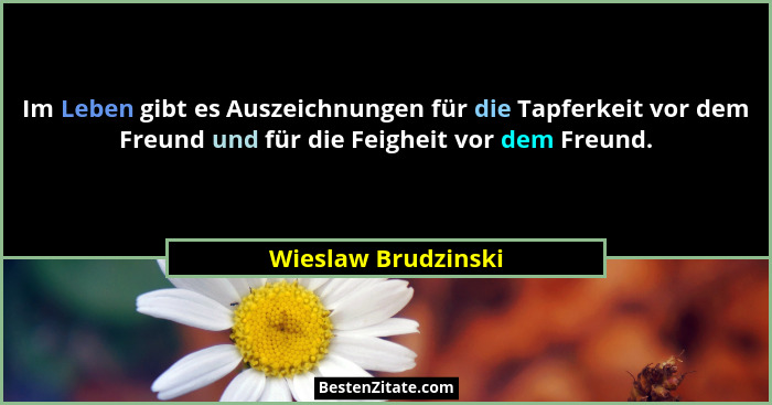Im Leben gibt es Auszeichnungen für die Tapferkeit vor dem Freund und für die Feigheit vor dem Freund.... - Wieslaw Brudzinski