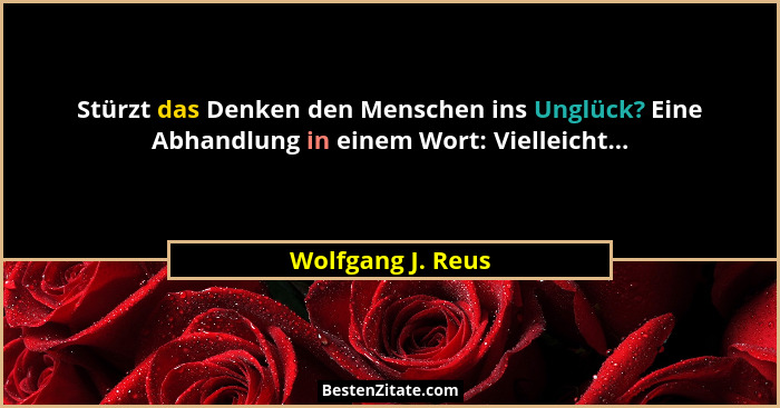 Stürzt das Denken den Menschen ins Unglück? Eine Abhandlung in einem Wort: Vielleicht...... - Wolfgang J. Reus