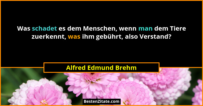 Was schadet es dem Menschen, wenn man dem Tiere zuerkennt, was ihm gebührt, also Verstand?... - Alfred Edmund Brehm