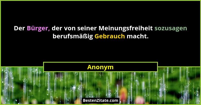 Der Bürger, der von seiner Meinungsfreiheit sozusagen berufsmäßig Gebrauch macht.... - Anonym