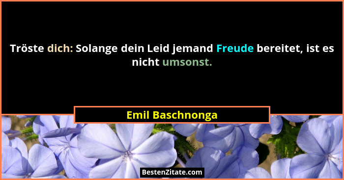 Tröste dich: Solange dein Leid jemand Freude bereitet, ist es nicht umsonst.... - Emil Baschnonga