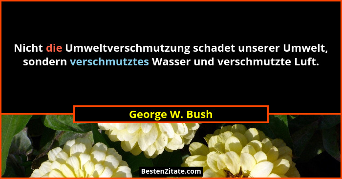 Nicht die Umweltverschmutzung schadet unserer Umwelt, sondern verschmutztes Wasser und verschmutzte Luft.... - George W. Bush