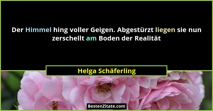 Der Himmel hing voller Geigen. Abgestürzt liegen sie nun zerschellt am Boden der Realität... - Helga Schäferling