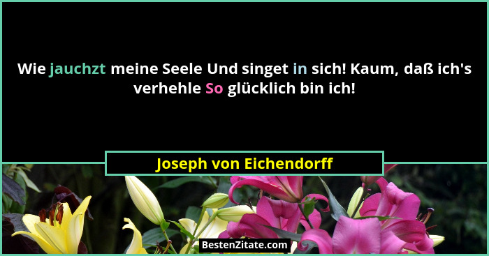 Wie jauchzt meine Seele Und singet in sich! Kaum, daß ich's verhehle So glücklich bin ich!... - Joseph von Eichendorff
