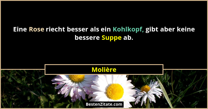 Eine Rose riecht besser als ein Kohlkopf, gibt aber keine bessere Suppe ab.... - Molière