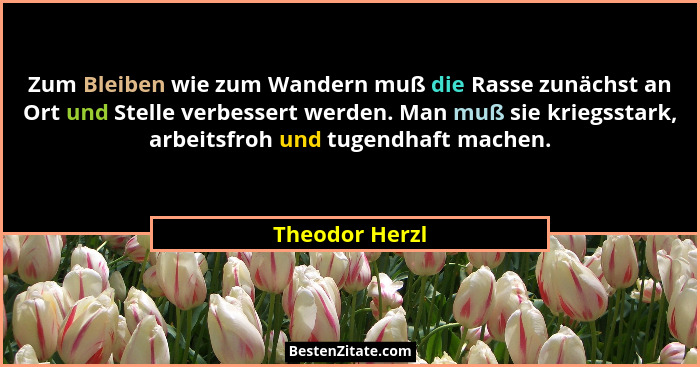 Zum Bleiben wie zum Wandern muß die Rasse zunächst an Ort und Stelle verbessert werden. Man muß sie kriegsstark, arbeitsfroh und tugen... - Theodor Herzl