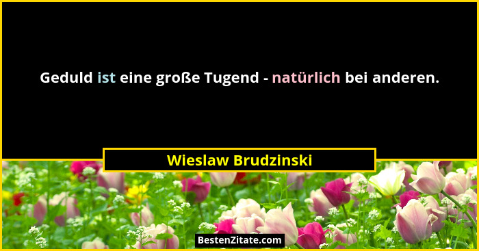 Geduld ist eine große Tugend - natürlich bei anderen.... - Wieslaw Brudzinski