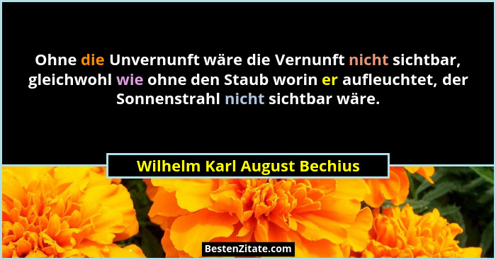 Ohne die Unvernunft wäre die Vernunft nicht sichtbar, gleichwohl wie ohne den Staub worin er aufleuchtet, der Sonnenstra... - Wilhelm Karl August Bechius