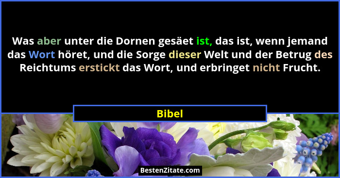 Was aber unter die Dornen gesäet ist, das ist, wenn jemand das Wort höret, und die Sorge dieser Welt und der Betrug des Reichtums erstickt das... - Bibel