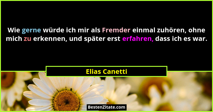 Wie gerne würde ich mir als Fremder einmal zuhören, ohne mich zu erkennen, und später erst erfahren, dass ich es war.... - Elias Canetti