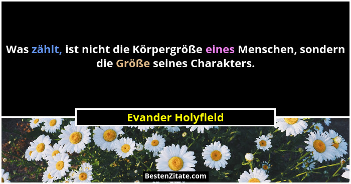 Was zählt, ist nicht die Körpergröße eines Menschen, sondern die Größe seines Charakters.... - Evander Holyfield