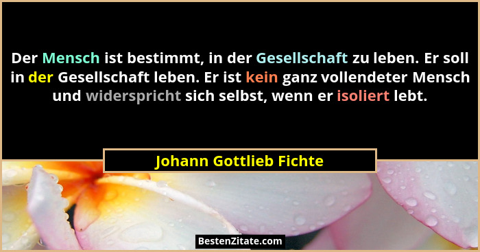 Der Mensch ist bestimmt, in der Gesellschaft zu leben. Er soll in der Gesellschaft leben. Er ist kein ganz vollendeter Mensch... - Johann Gottlieb Fichte