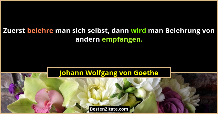 Zuerst belehre man sich selbst, dann wird man Belehrung von andern empfangen.... - Johann Wolfgang von Goethe