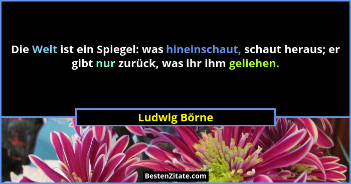 Die Welt ist ein Spiegel: was hineinschaut, schaut heraus; er gibt nur zurück, was ihr ihm geliehen.... - Ludwig Börne