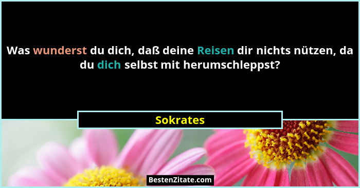 Was wunderst du dich, daß deine Reisen dir nichts nützen, da du dich selbst mit herumschleppst?... - Sokrates