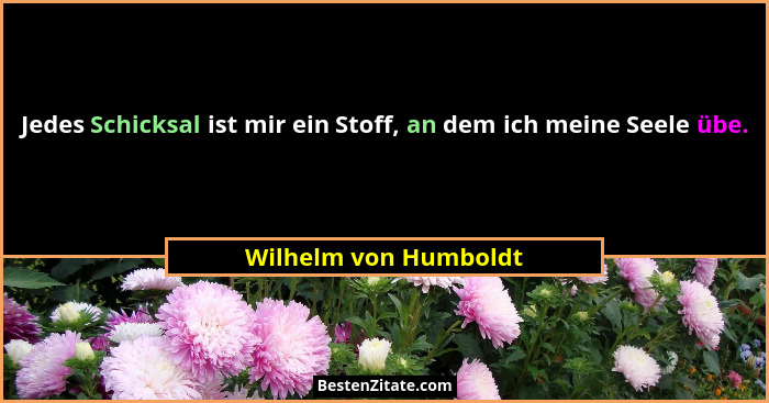 Jedes Schicksal ist mir ein Stoff, an dem ich meine Seele übe.... - Wilhelm von Humboldt