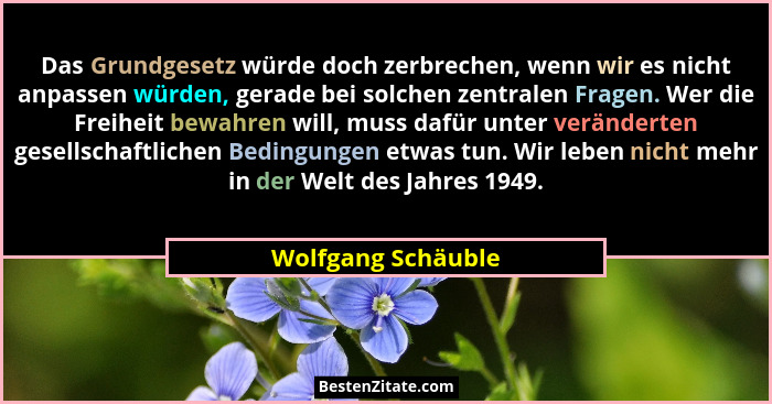 Das Grundgesetz würde doch zerbrechen, wenn wir es nicht anpassen würden, gerade bei solchen zentralen Fragen. Wer die Freiheit be... - Wolfgang Schäuble
