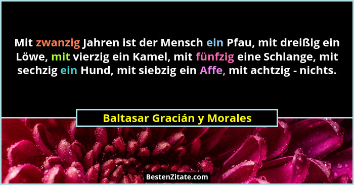 Mit zwanzig Jahren ist der Mensch ein Pfau, mit dreißig ein Löwe, mit vierzig ein Kamel, mit fünfzig eine Schlange, mit s... - Baltasar Gracián y Morales