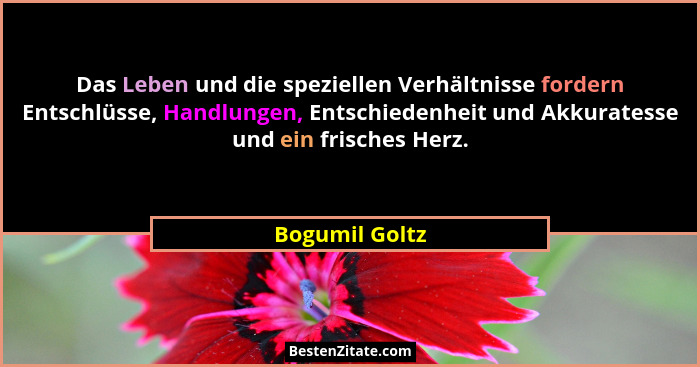Das Leben und die speziellen Verhältnisse fordern Entschlüsse, Handlungen, Entschiedenheit und Akkuratesse und ein frisches Herz.... - Bogumil Goltz