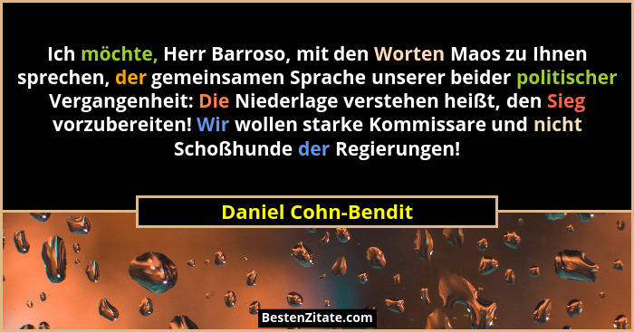 Ich möchte, Herr Barroso, mit den Worten Maos zu Ihnen sprechen, der gemeinsamen Sprache unserer beider politischer Vergangenheit... - Daniel Cohn-Bendit