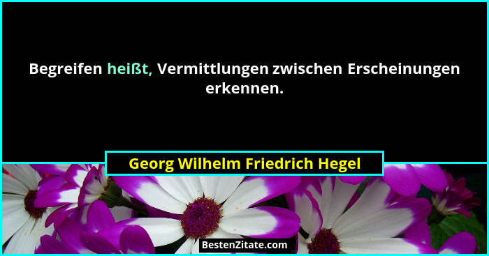 Begreifen heißt, Vermittlungen zwischen Erscheinungen erkennen.... - Georg Wilhelm Friedrich Hegel