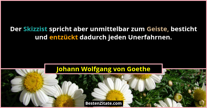 Der Skizzist spricht aber unmittelbar zum Geiste, besticht und entzückt dadurch jeden Unerfahrnen.... - Johann Wolfgang von Goethe