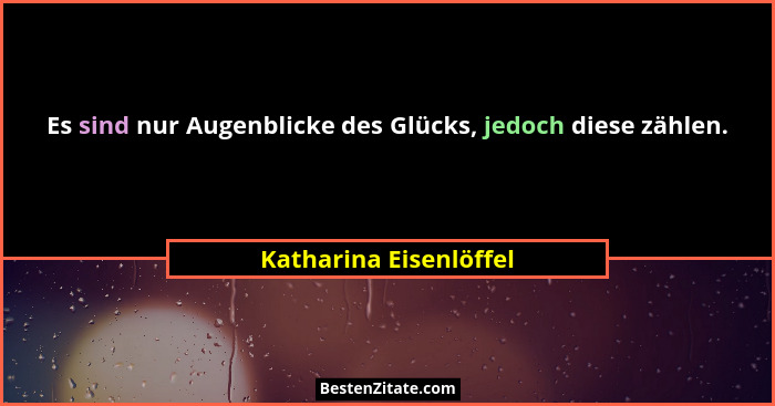 Es sind nur Augenblicke des Glücks, jedoch diese zählen.... - Katharina Eisenlöffel