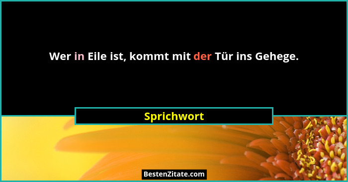 Wer in Eile ist, kommt mit der Tür ins Gehege.... - Sprichwort